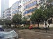 锦园小区实景图