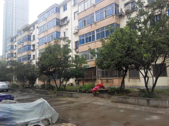 锦园小区实景图