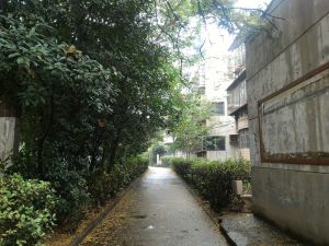 万达广场旁华侨新村中间楼层可贷款诚心出售