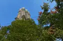 福星惠誉汉阳城实景图