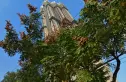 福星惠誉汉阳城实景图
