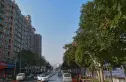 福星惠誉汉阳城实景图