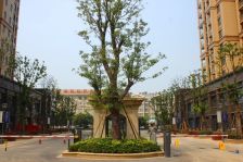 华轩中鑫御景小区,大润旁,配套成熟,业主诚心出售