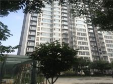 户型楼栋位置很好,适合刚需居住,大商场购物方便