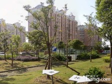 幸福新居南区,大4房,电梯房,采光好,诚心卖