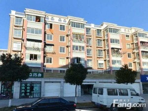 北辰公寓2室2厅南北