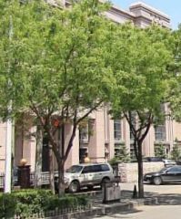 此房满五唯一,单价便宜价格可议