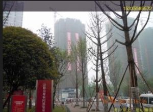 环境优美,出门小公园,交通方便。