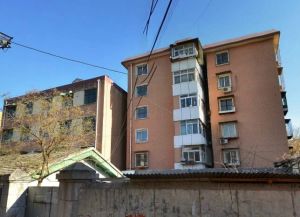 大红门东前街甲27号 南北三居 地铁8号线大红门南