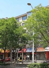 蒙大铂庭低楼层创业路巨华绿地