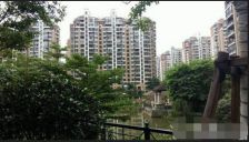 外滩沿江一排,全江景、视野开阔