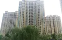 紫韵香庭实景图