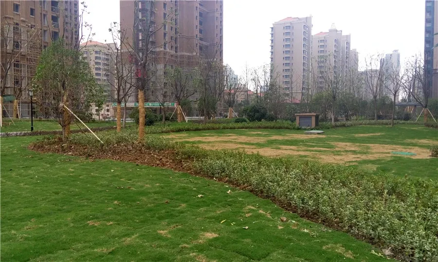 诚卖 湖塘二实小 御城 满五 精装3房 边户 全天采光无遮挡