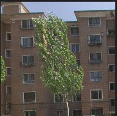 东风路一居室满五 摩尔城 长乐宫