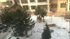 兴诚花园小区 3室2厅 南 北