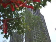 天马相城二期 海景房 业主诚心出售 产证满五年