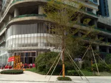 佛山新城 东平广场 精装3房1卫