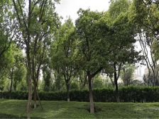 时代上院 毛坯 三房 可改造 随时看 采光很好 捡漏价格