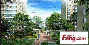 金色华府·橄榄城 3室1厅 南 北