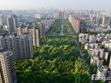 509平,两梯一户,价格有惊喜,让你相信爱情的好房子