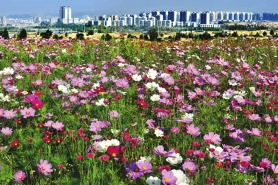 兴陇创意农业产业园实景图