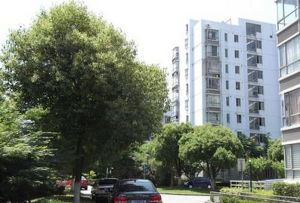 钰景花园 2室1厅 南 北