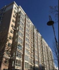 紫藤花园3室1厅南