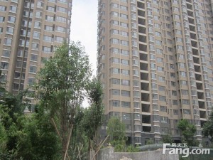 栋盛苑5室3厅南北