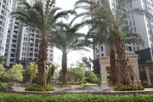 光明·澜湾九里 5室1厅 南