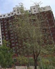 卖点: 国标户型,楼层好,视野宽阔,卧室明亮