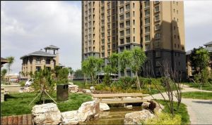 精装修 中间楼层 可拎包入住