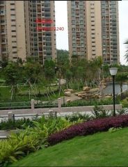 御景101公馆 1室1厅 南 北