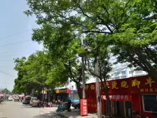 西站供电局家属院正规两室两厅南北通透产权可按揭