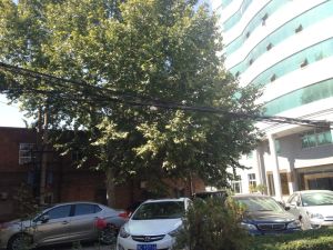 银辉小区3室2厅南北