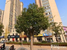 户型方正 视野开阔 中上层次