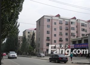 乌兰小区 标准户型 总价低 看房方便