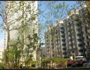 望兴园2室2厅南北