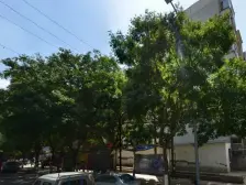 静宁路三十五中精装三室一厅南北带花园能停车