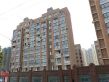 狮山华庭实景图