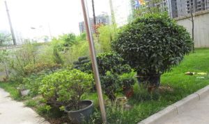 此房满五,机场旁边,业主诚心出售,单价总价低