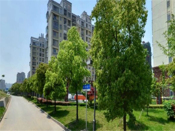 【常州香树湾名苑小区,二手房,租房】- 常州房天下