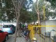 黄河人家实景图