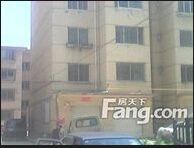 光华小区(新城区)1室1厅南