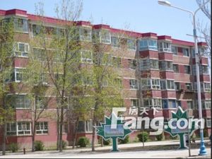 泰鑫小区 2室2厅 南