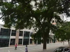 石化老头铺 两室一厅 朝南全明户型