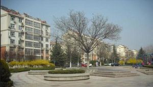 新华大街,地铁口,男马路,附属医院
