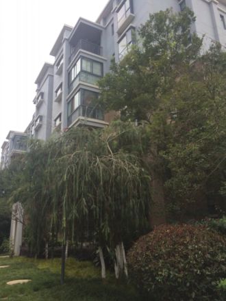 善书院别墅实景图