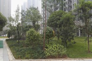 采光视野无遮挡,带车位。拎包入住