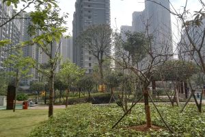 丰源国际3室2厅南北