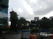 观澜碧桂园423平米别墅出售!位置安静